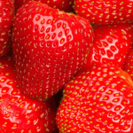 Fresh Strawberries